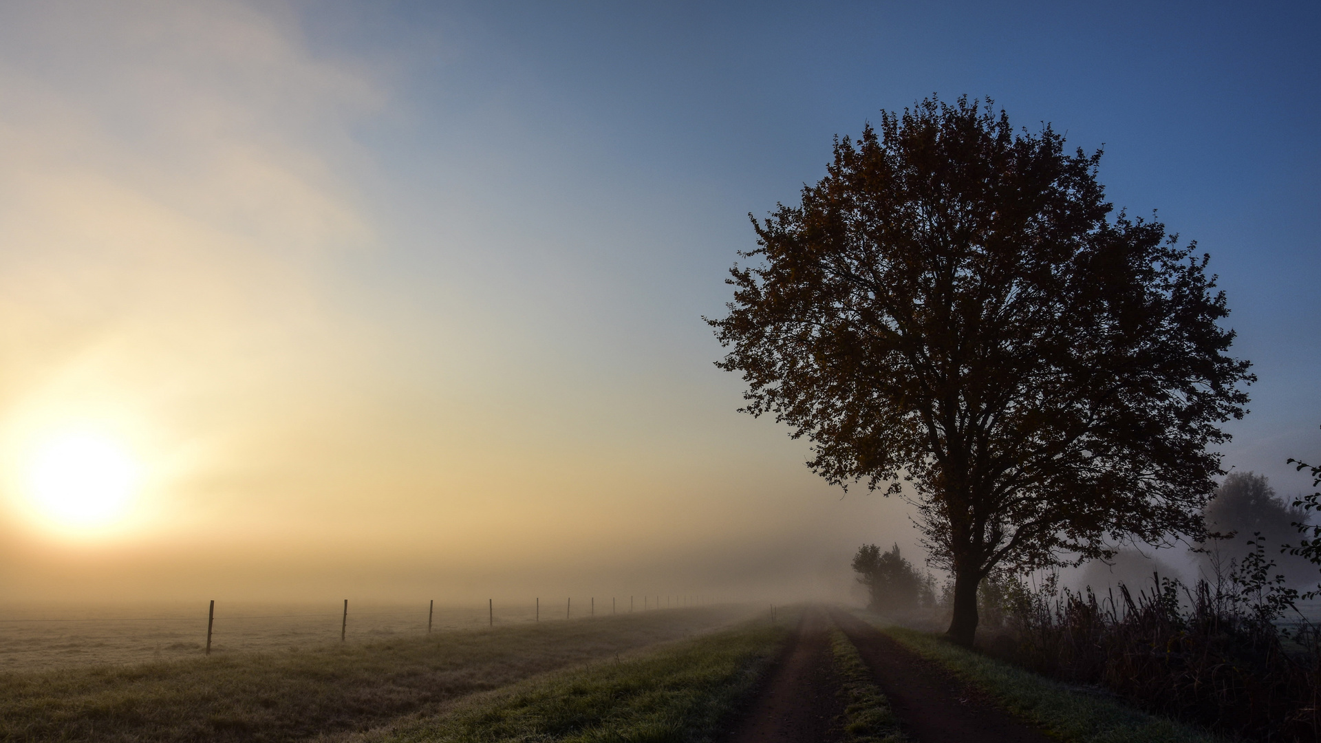 novembermorgen