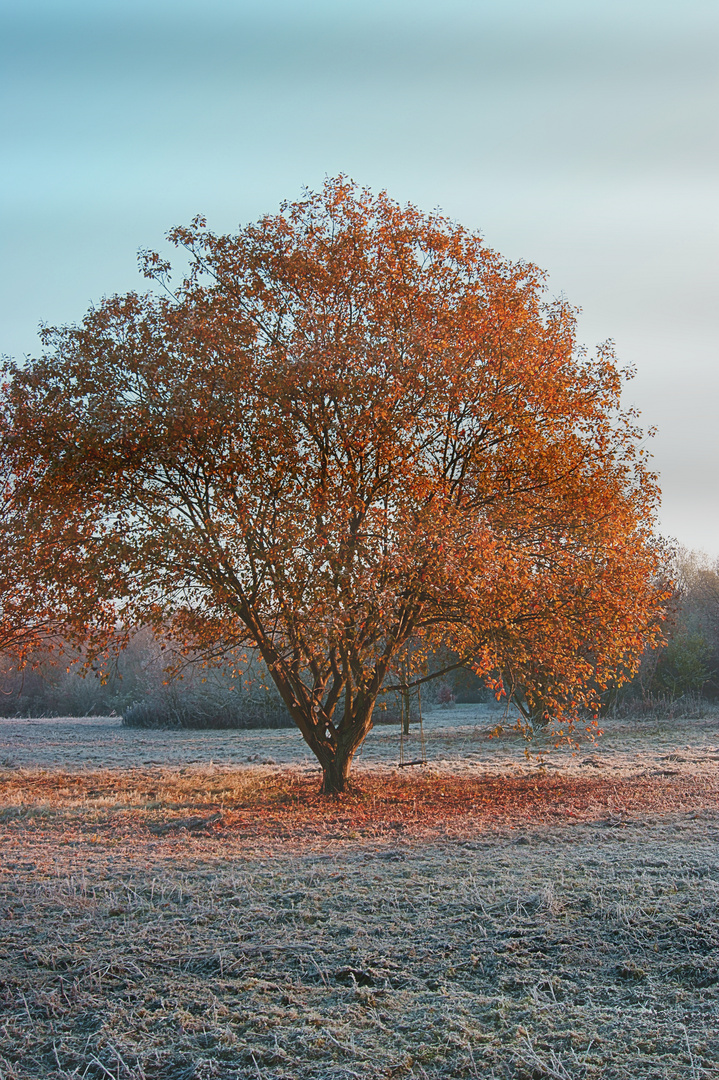 Novembermorgen