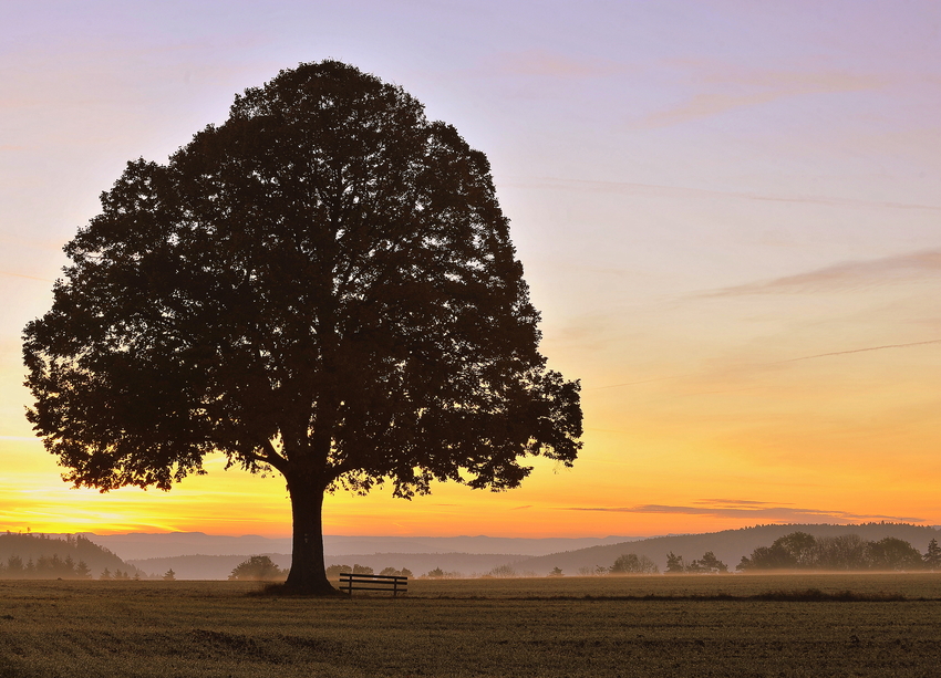 Novembermorgen