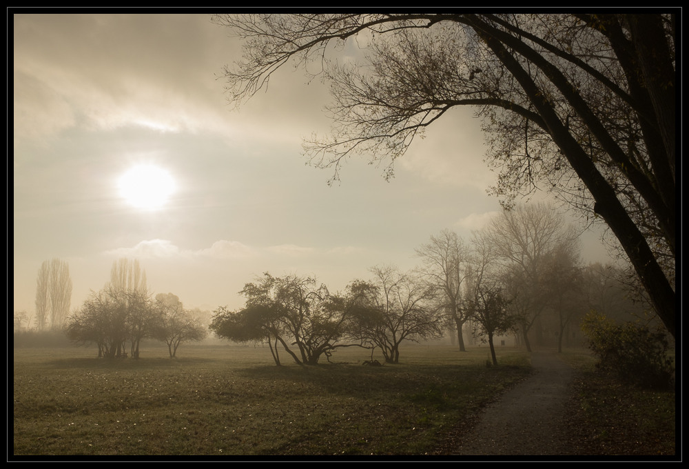 Novembermorgen