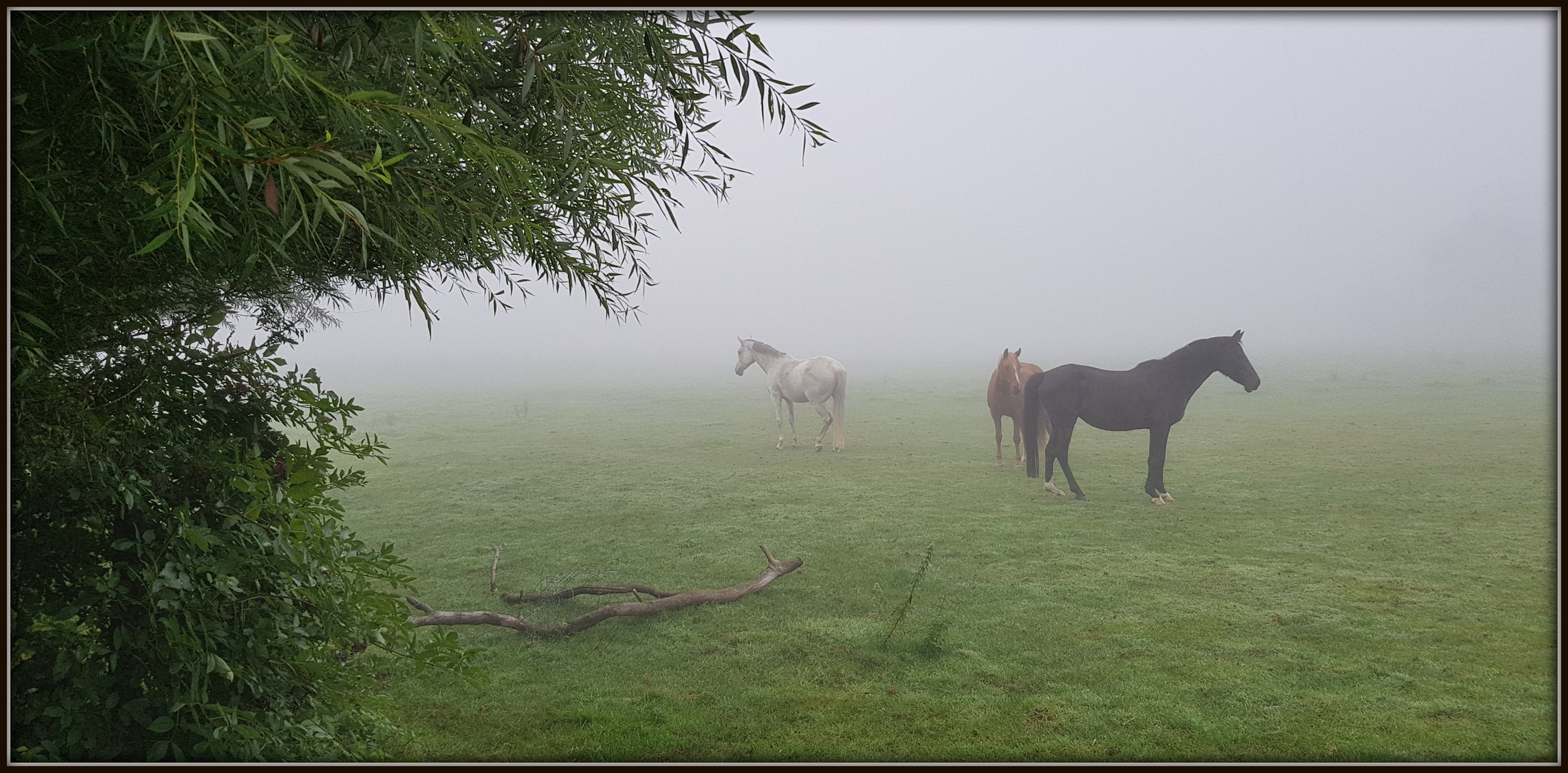 Novembermorgen