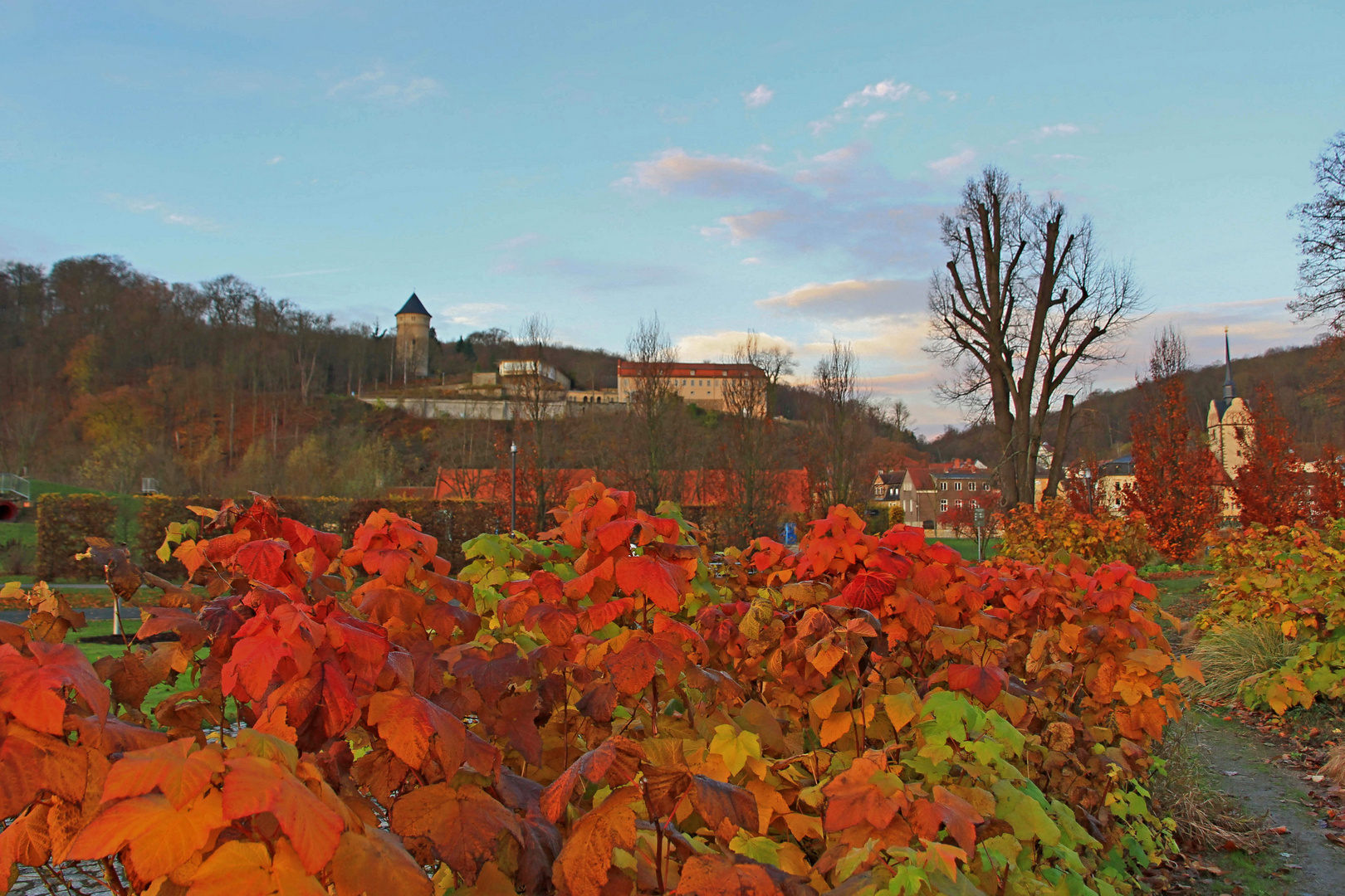 Novembermorgen 