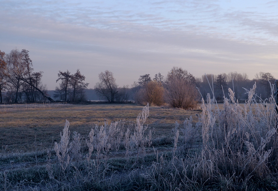 Novembermorgen