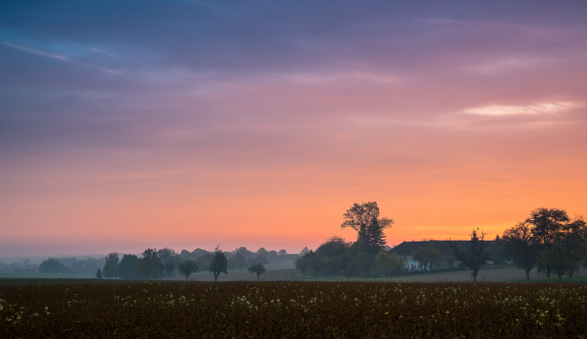 Novembermorgen