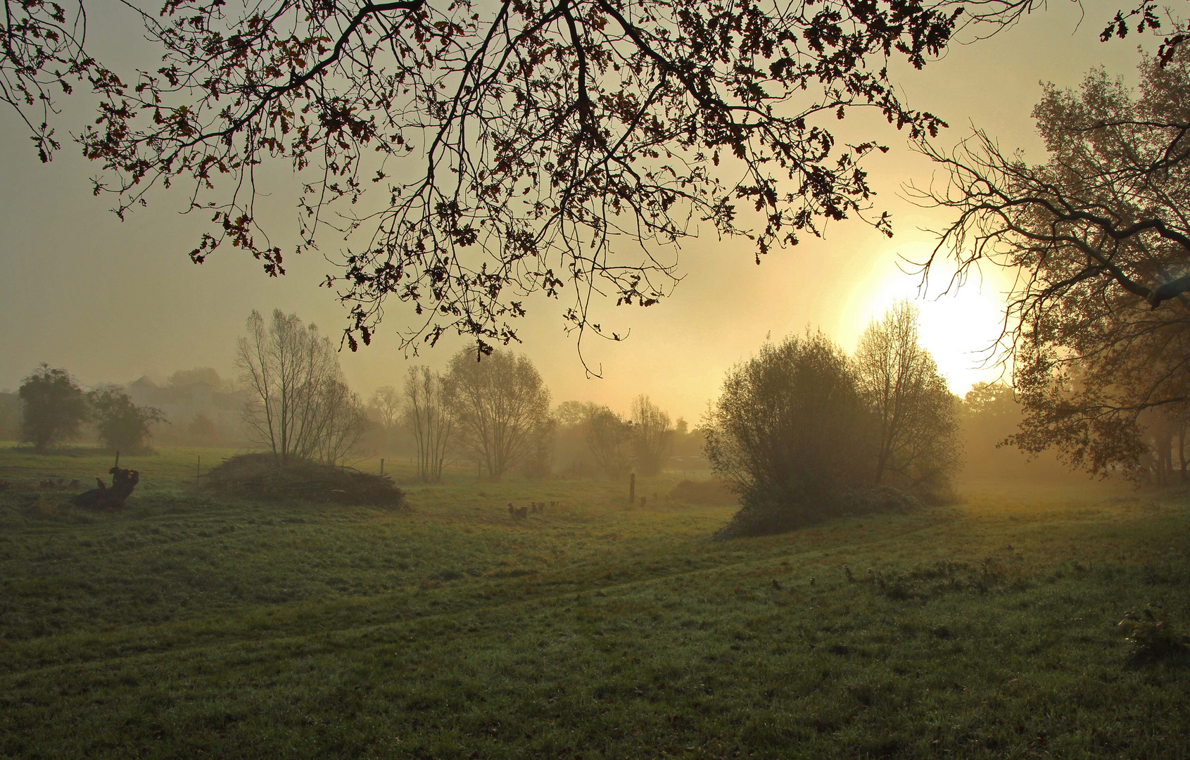 Novembermorgen