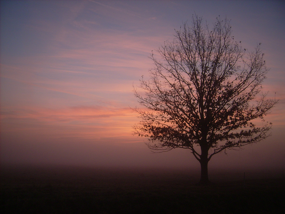 Novembermorgen