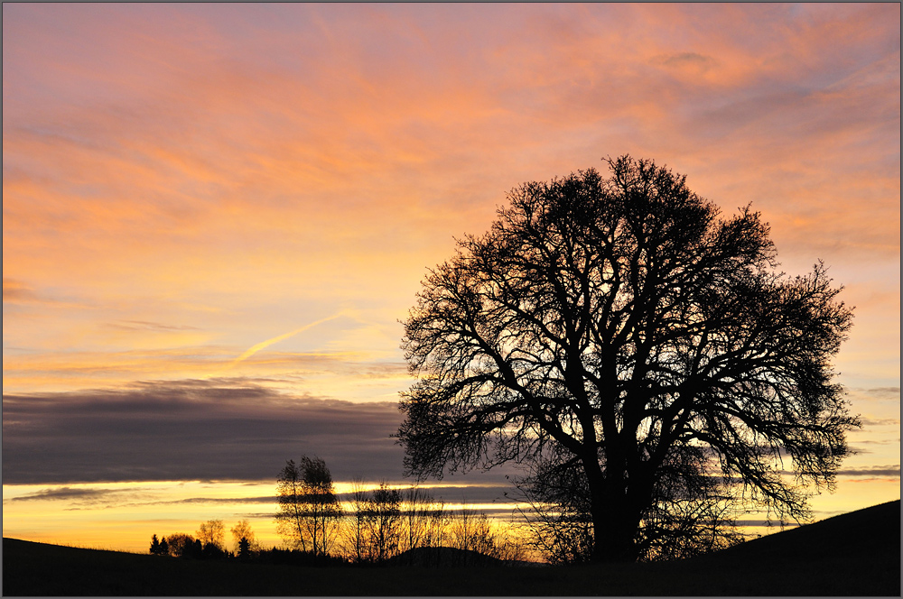 Novembermorgen