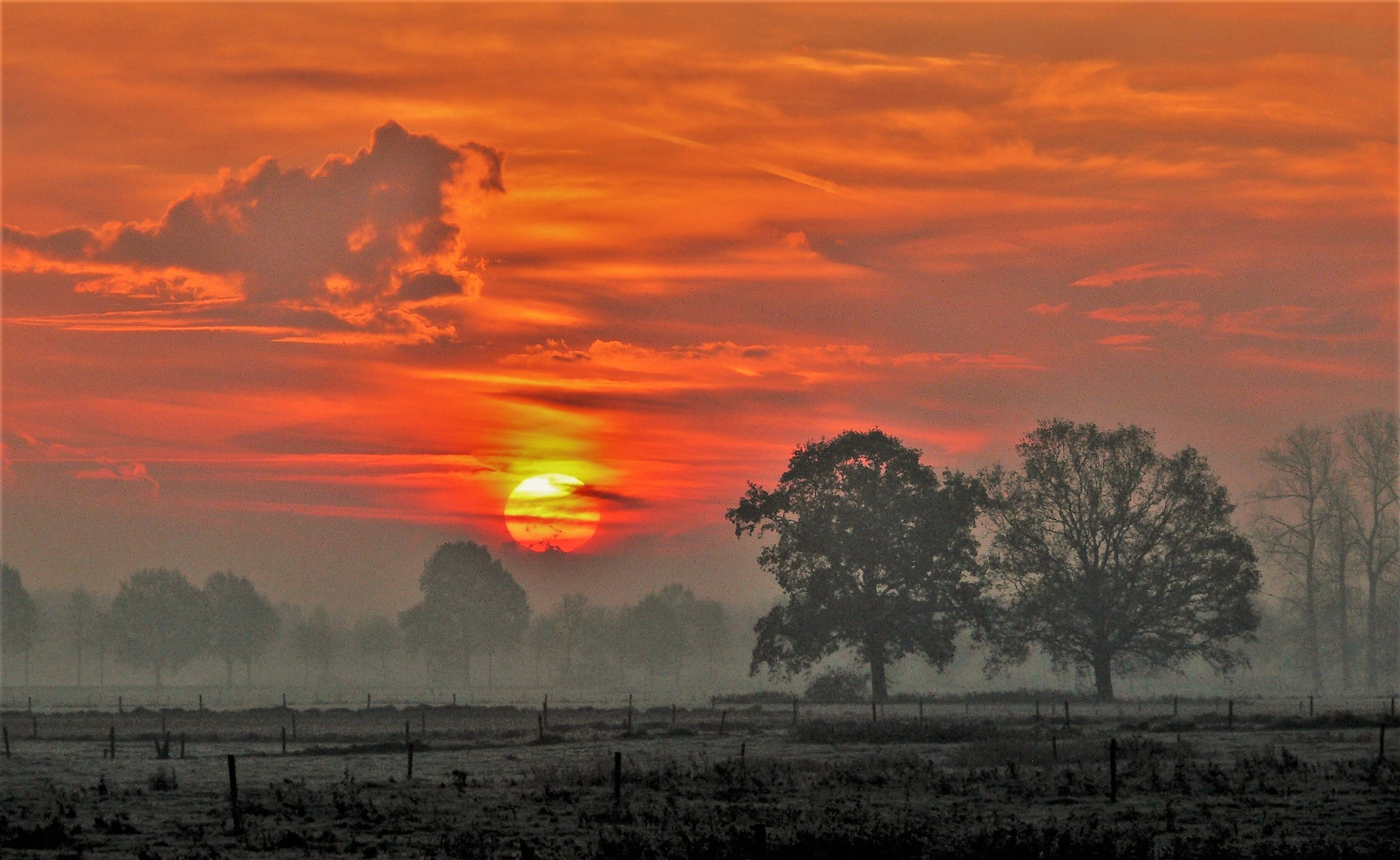 Novembermorgen