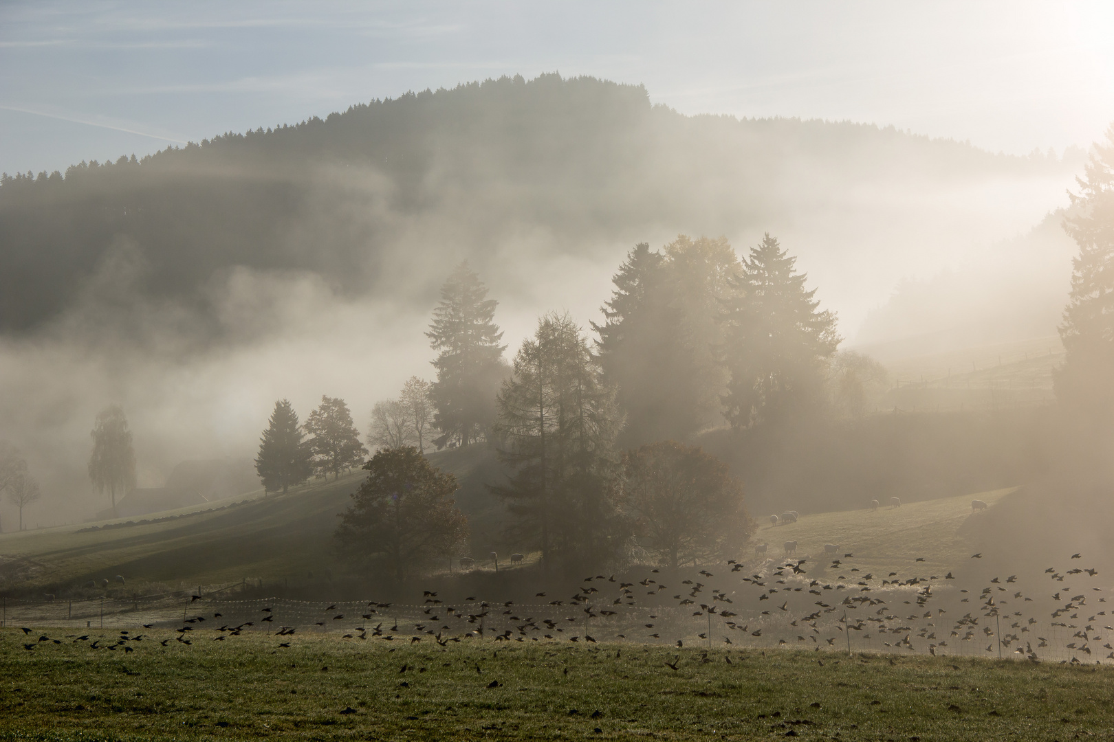 Novembermorgen