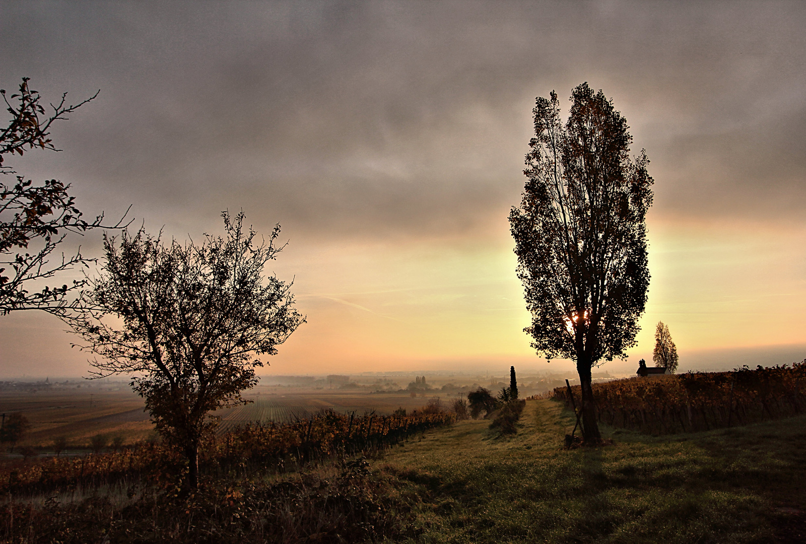 Novembermorgen