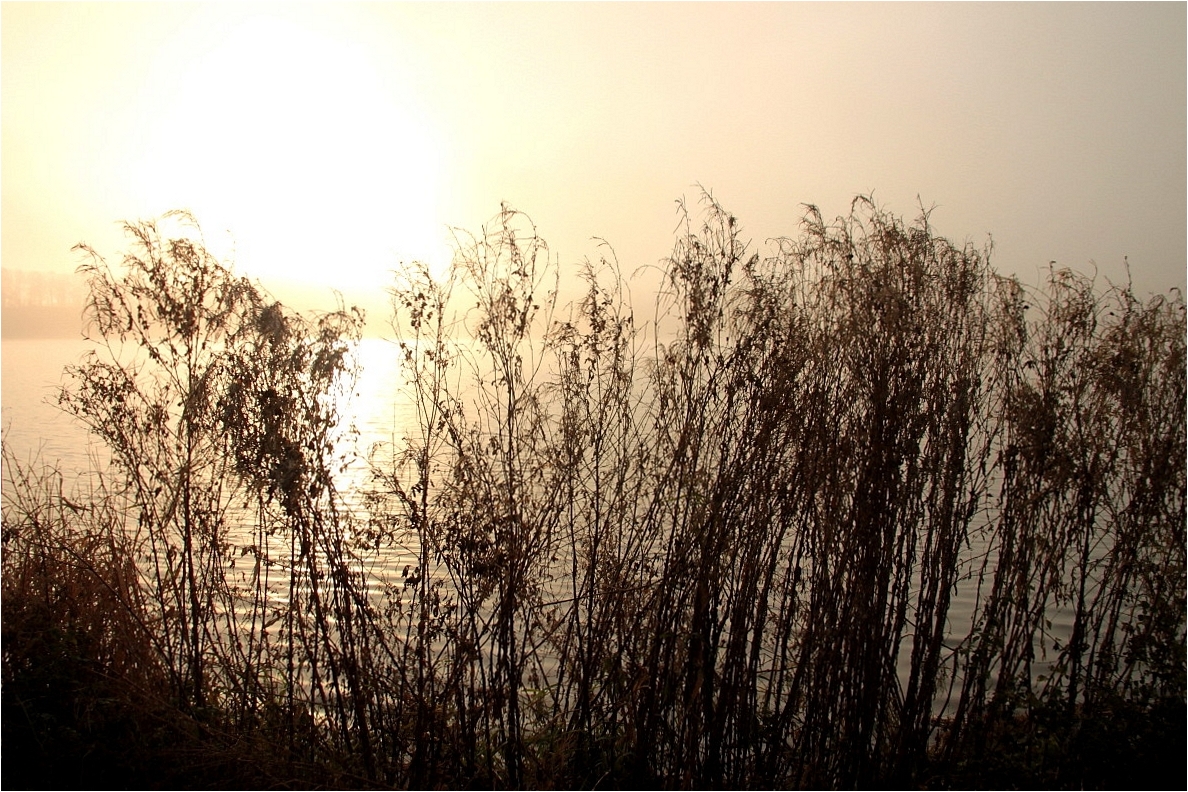 Novembermorgen am See (2)