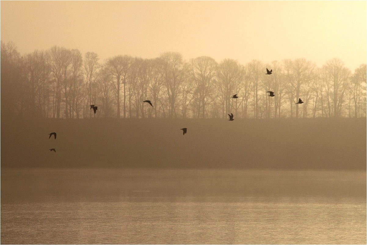 Novembermorgen am See (3)