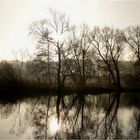 Novembermorgen am See (4)