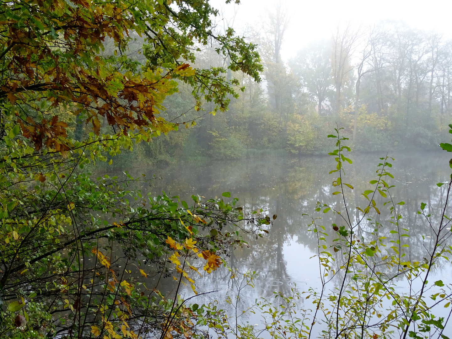 Novembermorgen am See