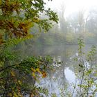 Novembermorgen am See