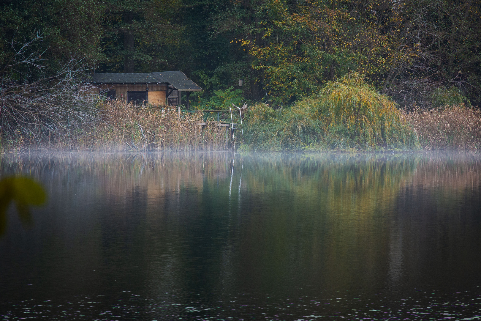 Novembermorgen am See