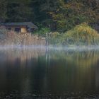 Novembermorgen am See