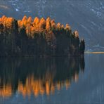 Novembermorgen am Silser See