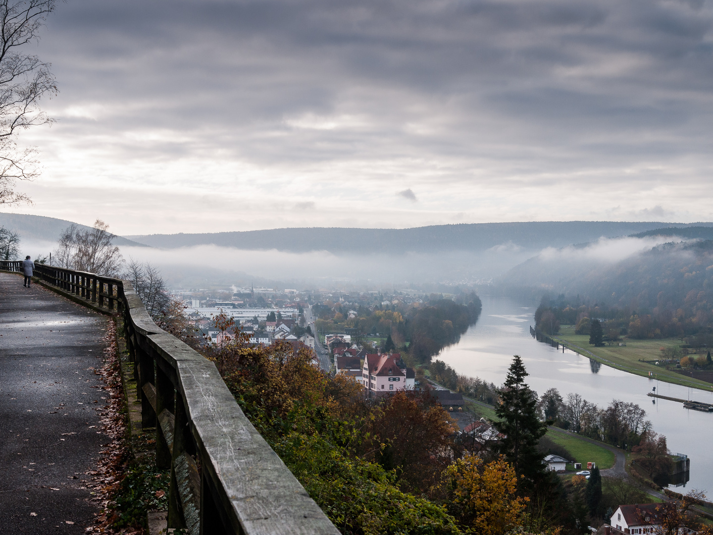 Novembermorgen am Weinberg 325