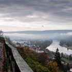 Novembermorgen am Weinberg 325