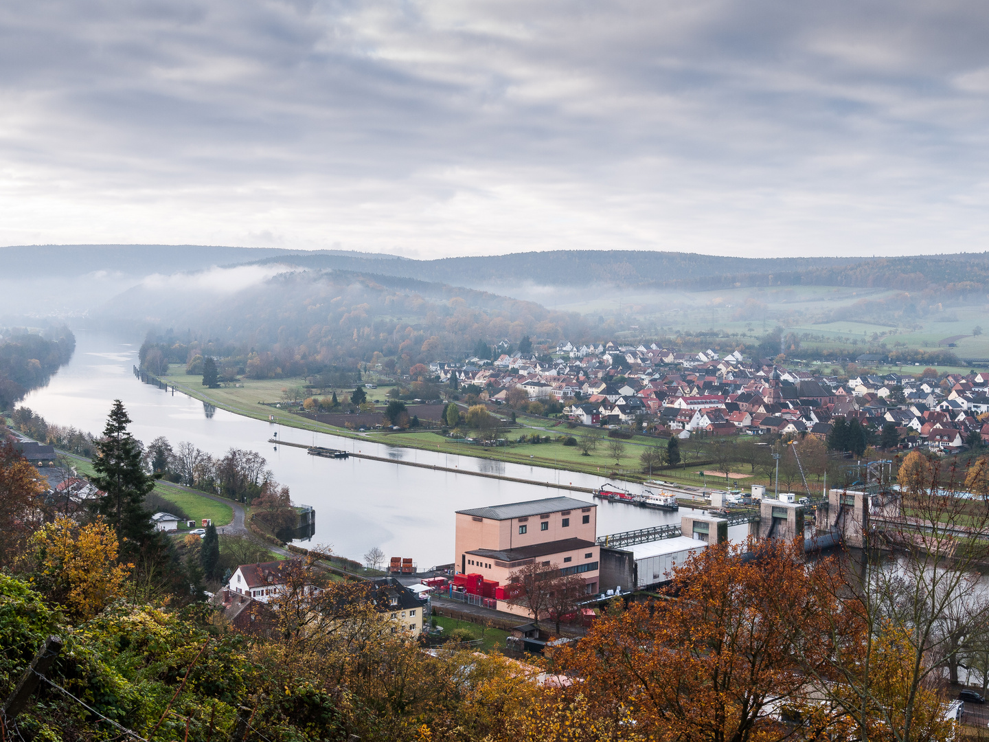 Novembermorgen am Weinberg 327