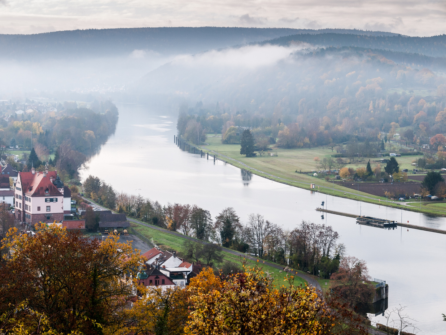 Novembermorgen am Weinberg 329