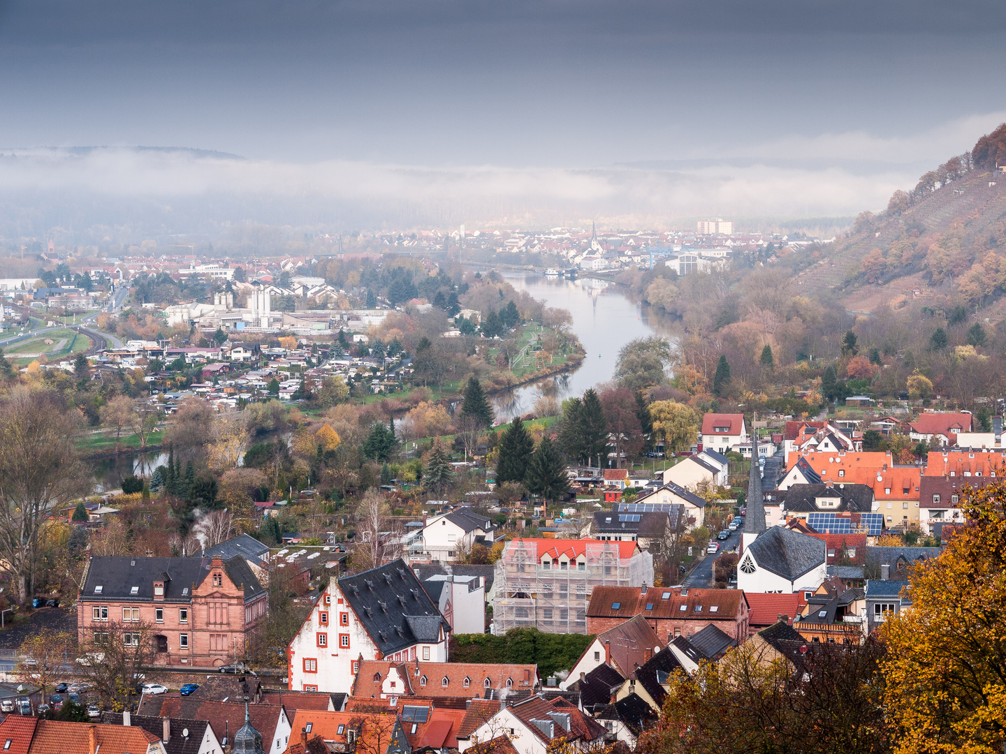 Novembermorgen am Weinberg 335