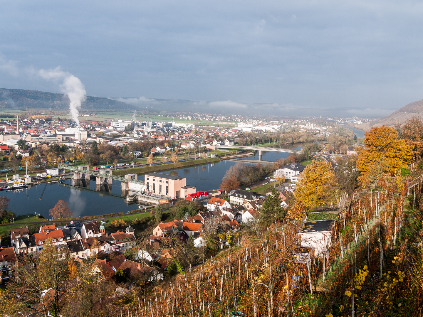 Novembermorgen am Weinberg 364