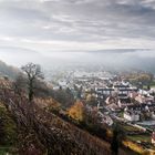 Novembermorgen am Weinberg 365