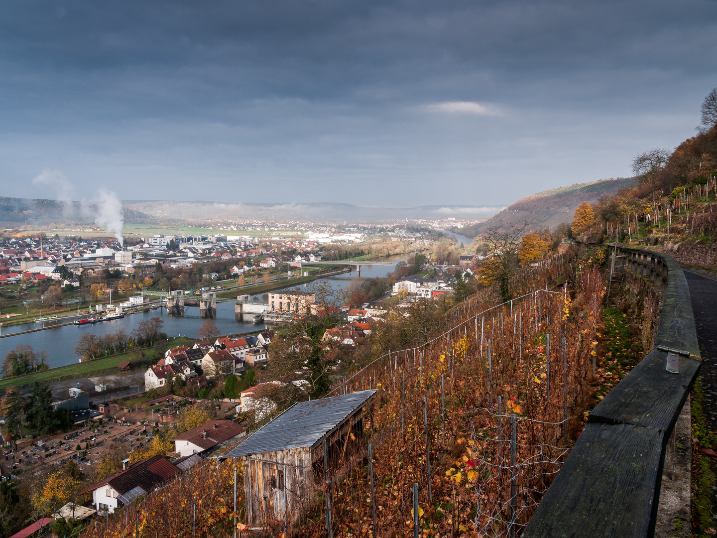 Novembermorgen am Weinberg 383