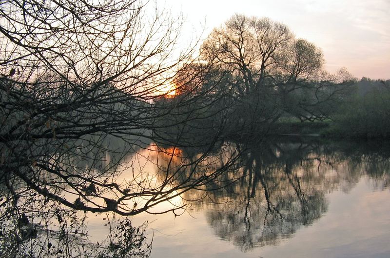 novembermorgen an der mulde