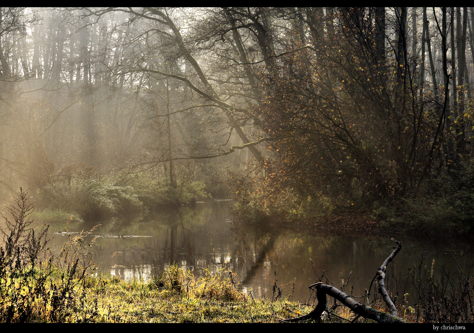 "Novembermorgen an der Warnow"