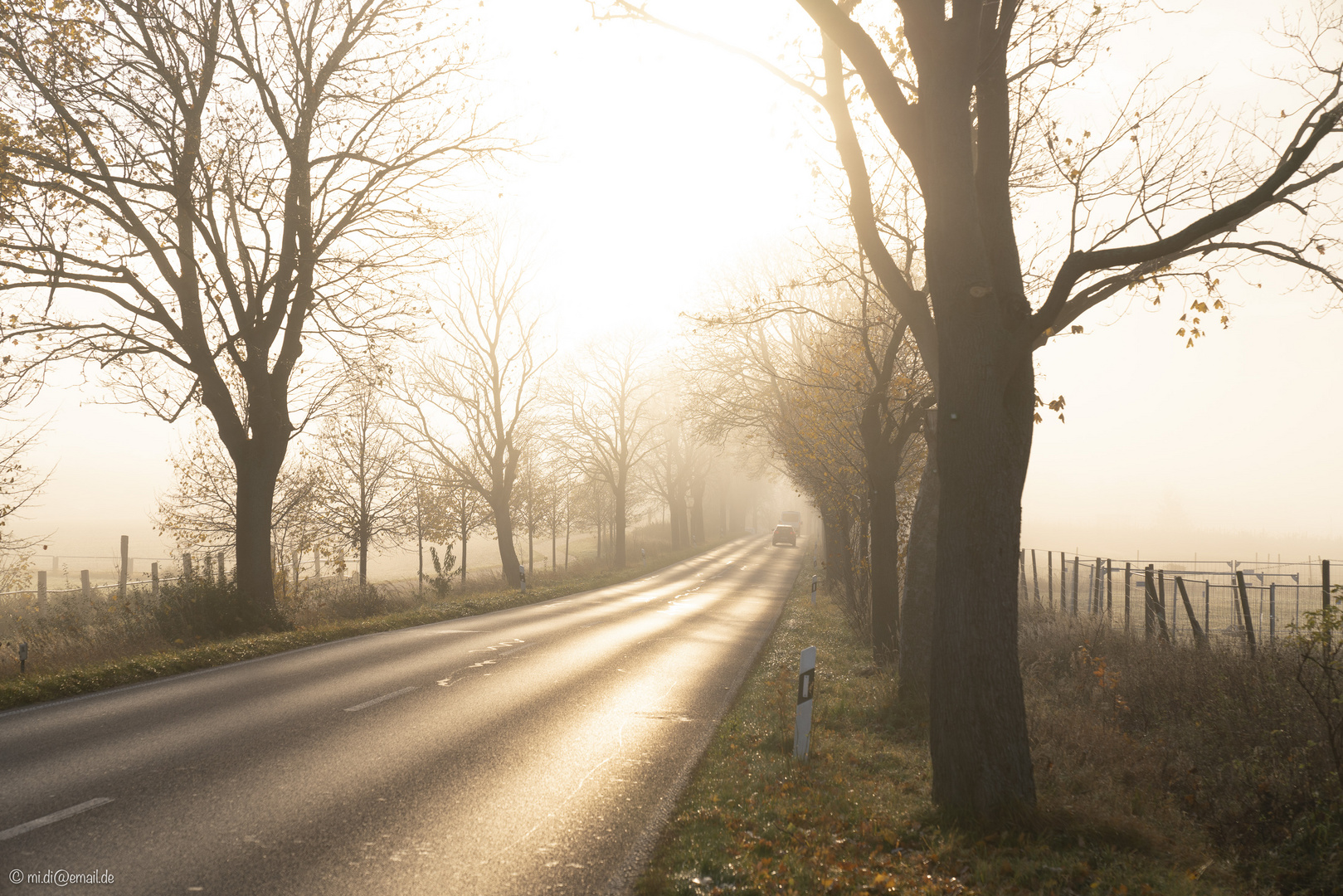 Novembermorgen auf der B96 A (2)