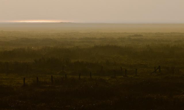 Novembermorgen auf Spiekeroog