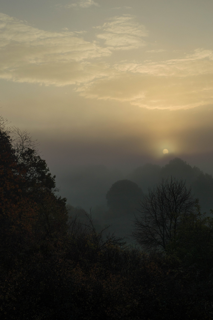 Novembermorgen