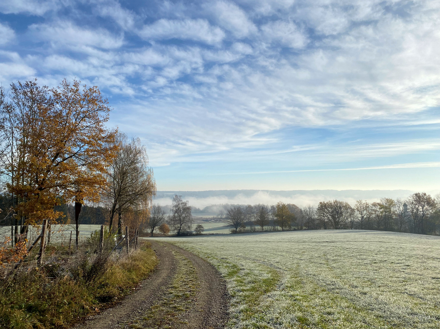 Novembermorgen