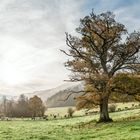 Novembermorgen bei Obliers