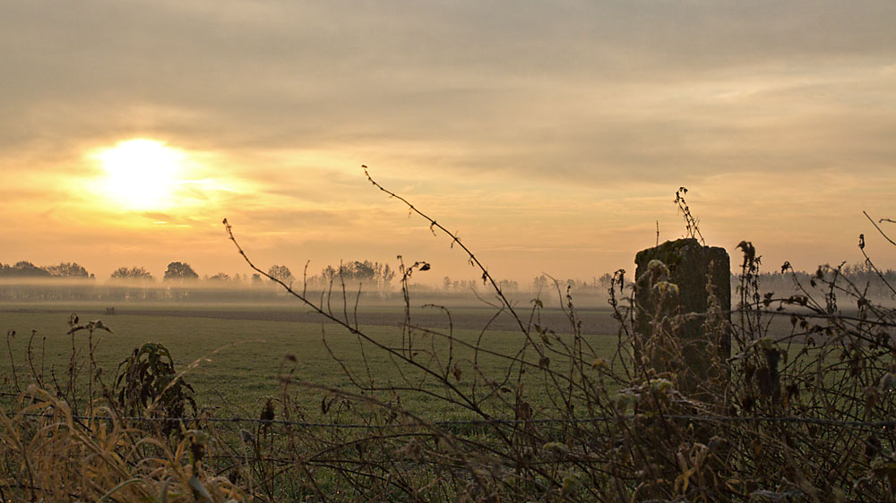 Novembermorgen bei Vreden