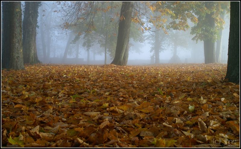 Novembermorgen beim alten Friedhof