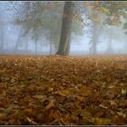 Novembermorgen beim alten Friedhof