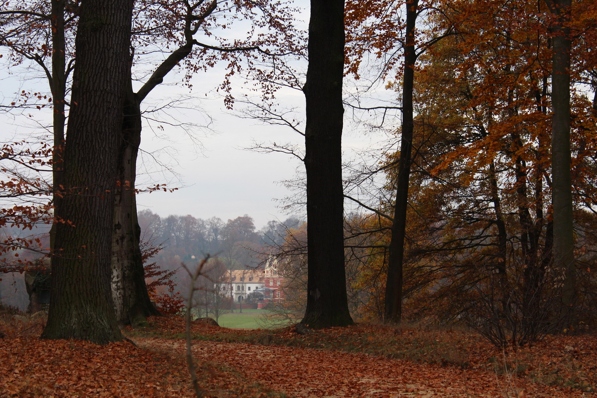 Novembermorgen - Blick auf Neues Schloss, Bad Muskau