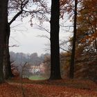 Novembermorgen - Blick auf Neues Schloss, Bad Muskau