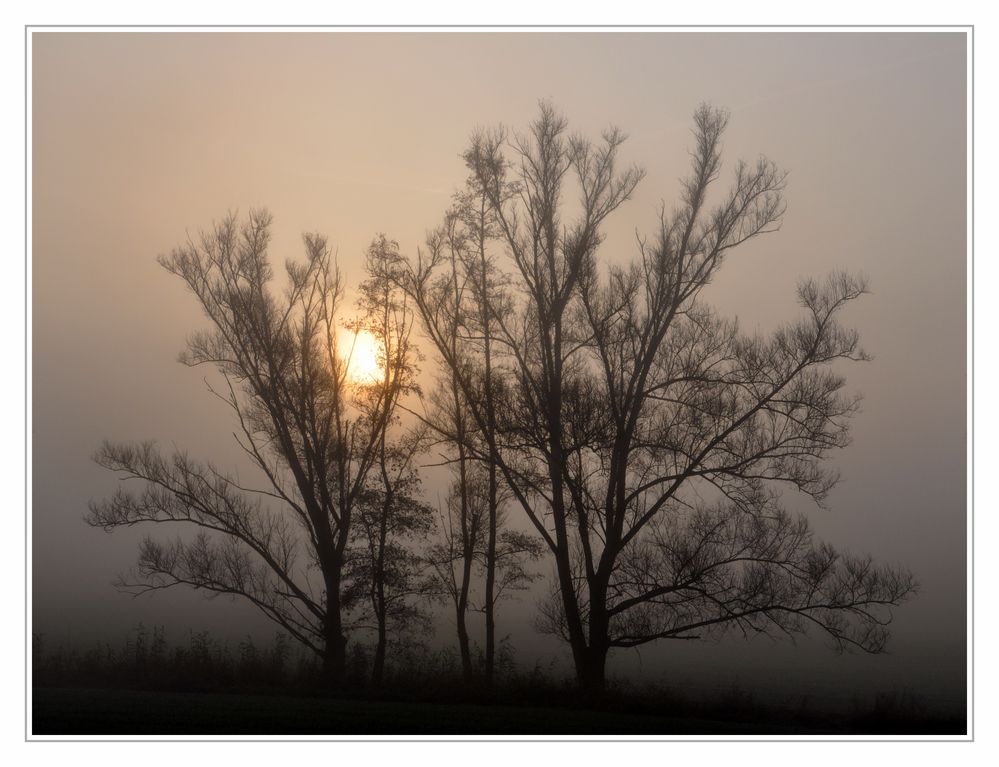 Novembermorgen