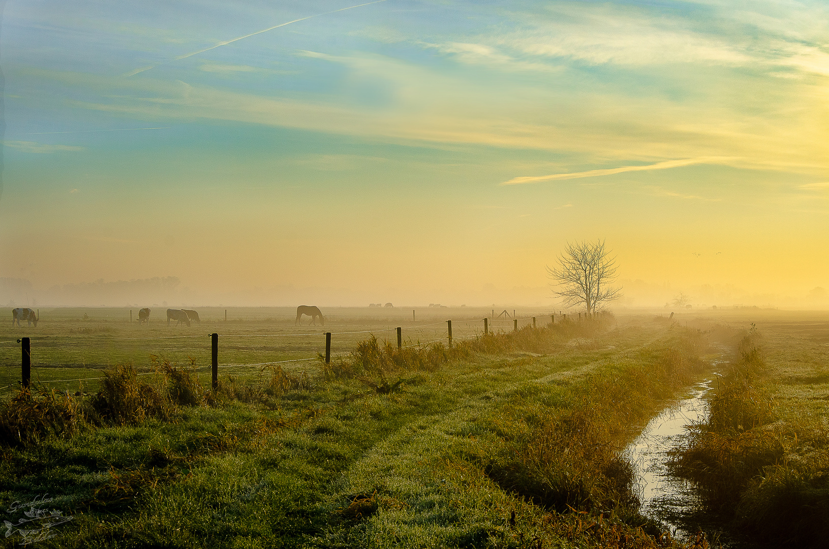 Novembermorgen