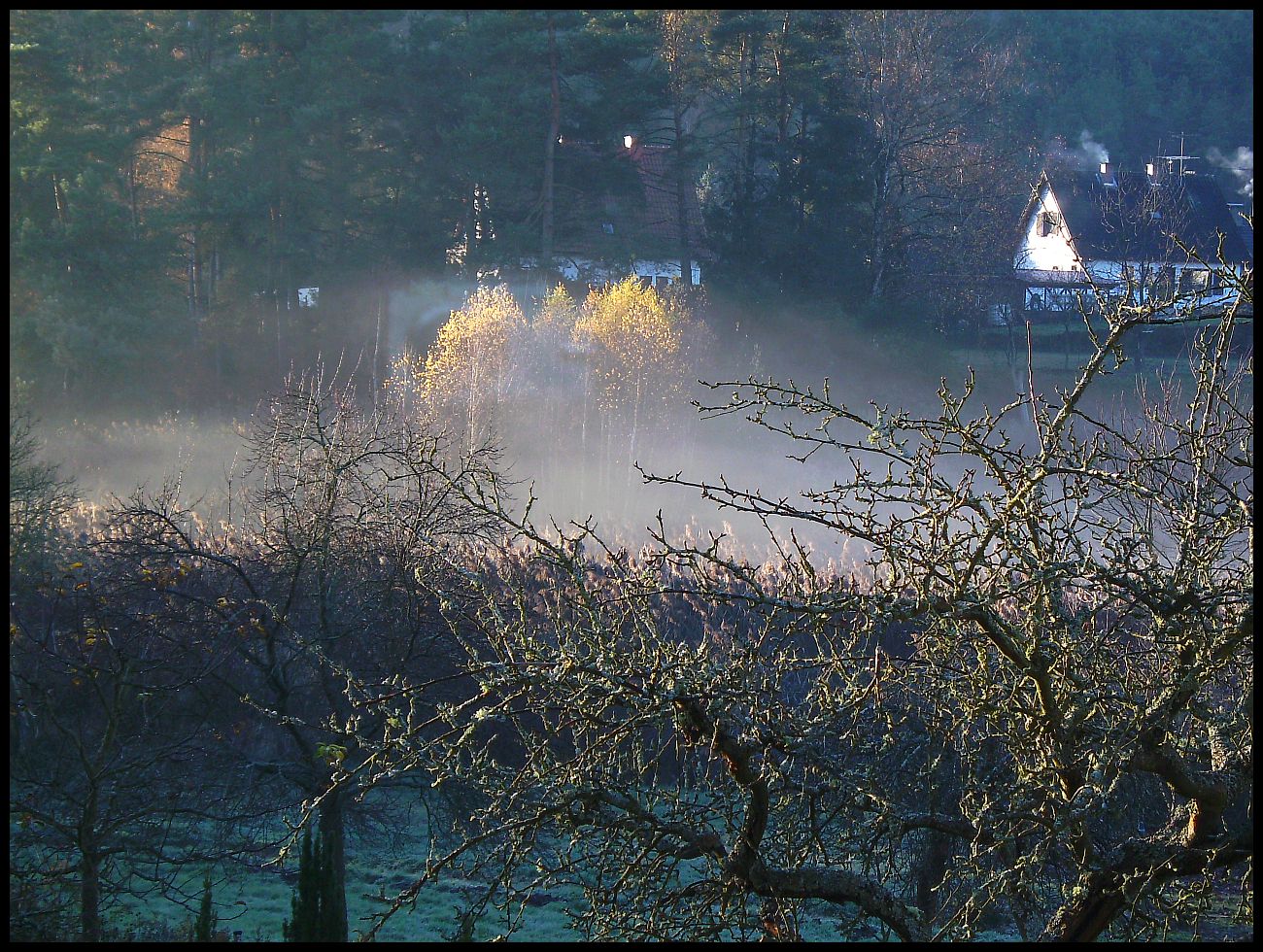 Novembermorgen - der Blick aus dem Küchenfenster..