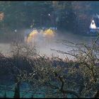 Novembermorgen - der Blick aus dem Küchenfenster..