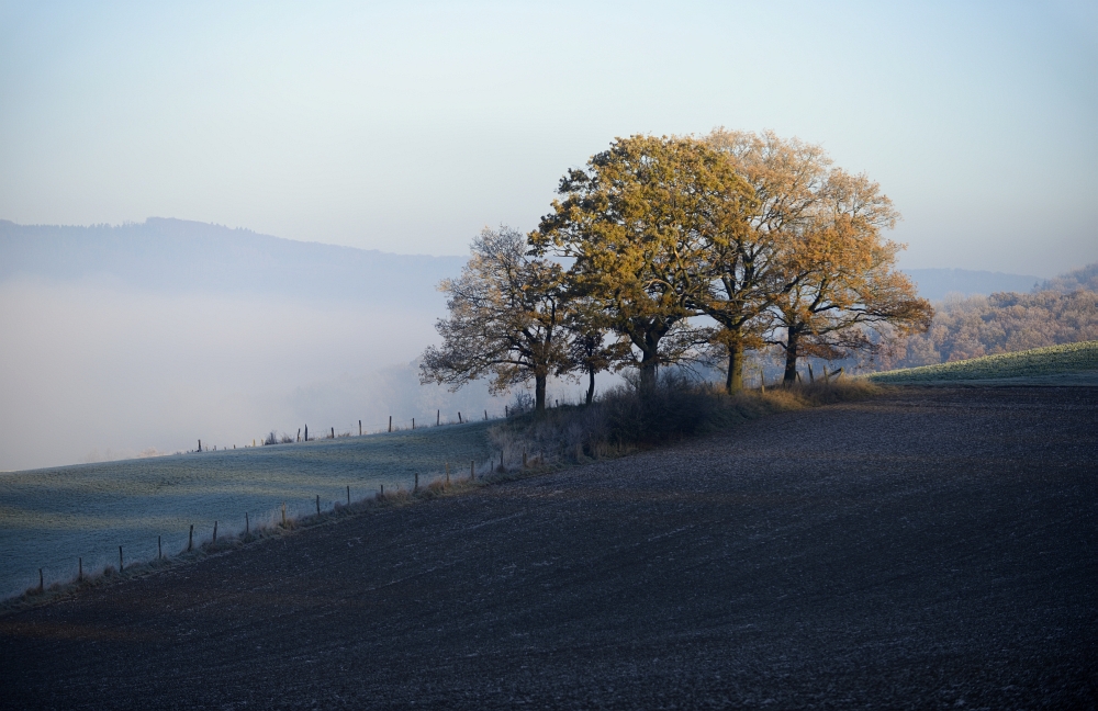 Novembermorgen