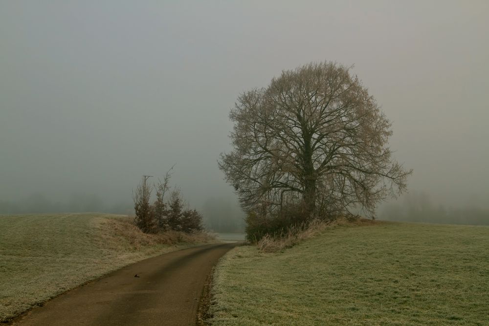 Novembermorgen...