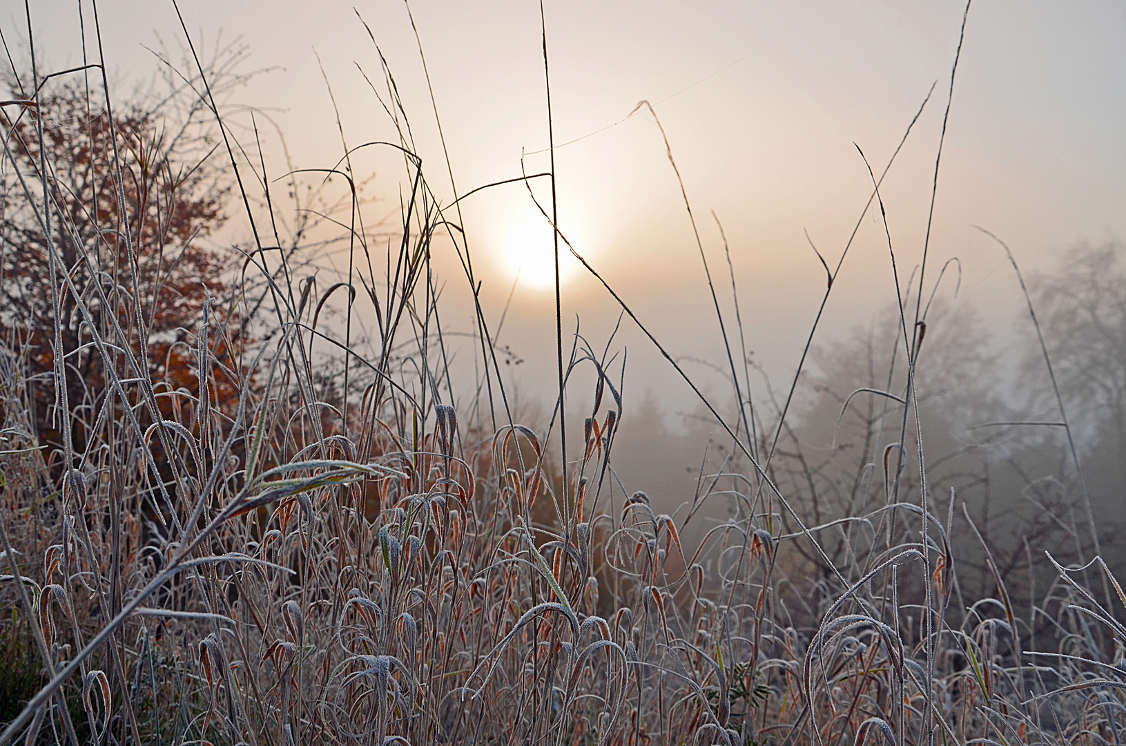 Novembermorgen