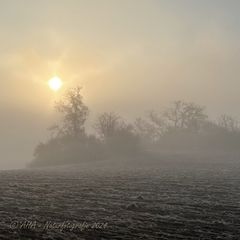 Novembermorgen
